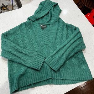 American Eagle Sweater with hood